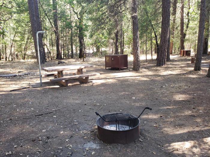 Shady site featuring a picnic table, fire ring, bear box, and lantern holder.Hallsted Site 11