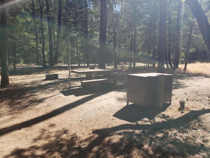 Sun-it site featuring a picnic table, fire ring, bear box, and lantern holder.Hallsted Site 12