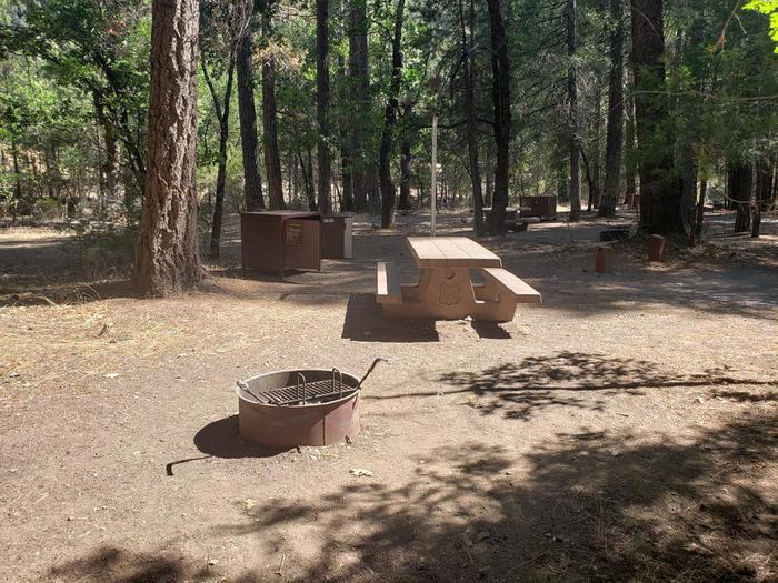 Sun-lit site featuring a picnic table, fire ring, bear box, and lantern holder.Hallsted Site 13