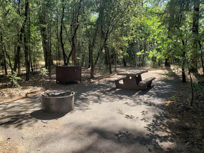 Lush site with oak trees featuring a picnic table, fire ring, bear box, and lantern holder.Hallsted Site 14 