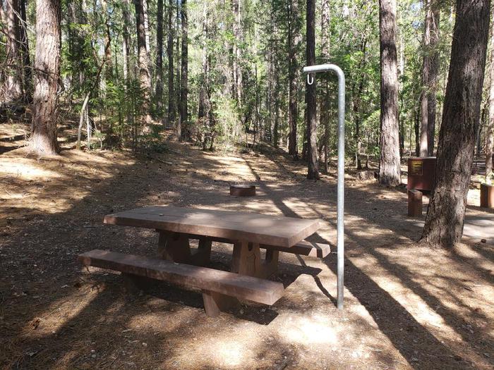 Shady site featuring a picnic table, fire ring, bear box, and lantern holder.Hallsted Site 16