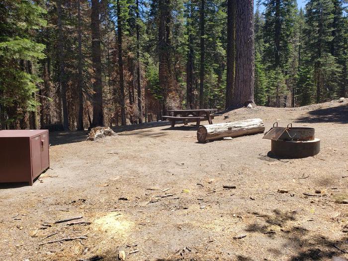 open space with bear box, table, and fire ring. mix of burned and healthy treesHutchins B