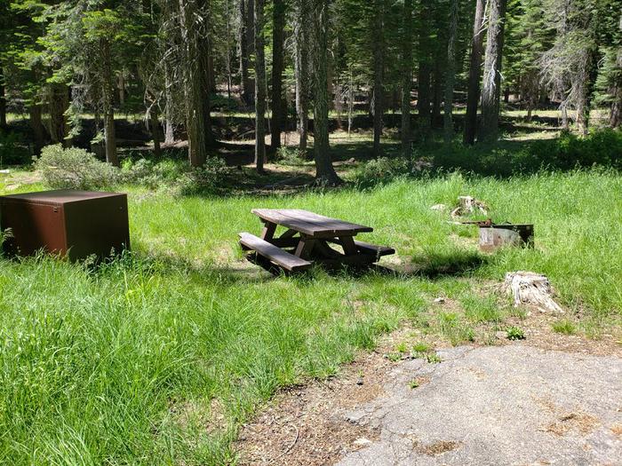 Sunny site with a picnic table, fire ring and bear box.Whitehorse Site 2