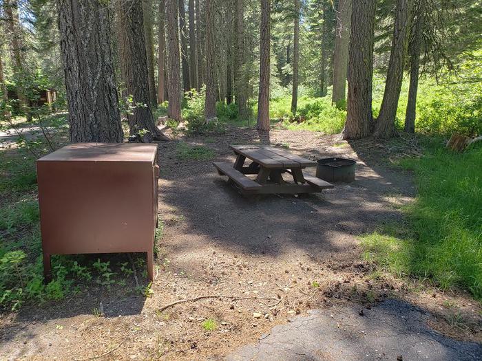 A healthy mix of sun and shade featuing a picnic table, fire ring and bear box.Whitehorse Site 3