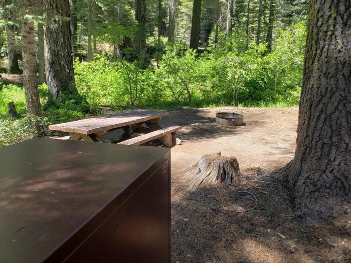 Spacious site featuring a picnic table, fire ring, and bear box also with a mix of sun and shade.Whitehorse Site 5