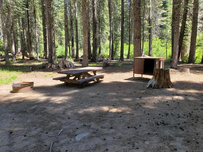 Spacious site featuring a picnic table, fire ring, and bear box with a beautiful surrounding of trees and bush.Whitehorse Site 7