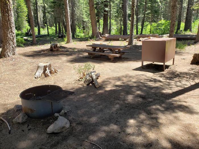 Cozy site featuring a picnic table, fire ring, and bear box with sun and shade.Whitehorse Site 9