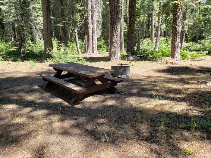 Well-sheltered site featuring a picnic table, fire ring, and bear box.Whitehorse Site 10