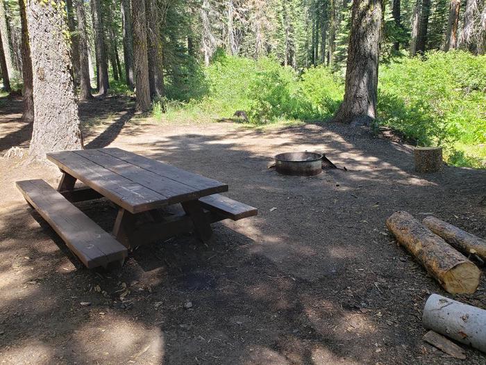 Well-shaded site featuring picnic table, fire ring, and bear box.Whitehorse Site 11
