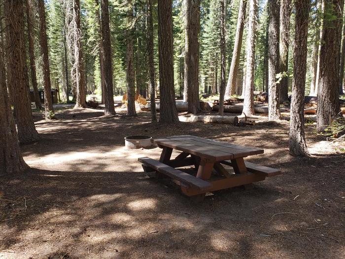 Well-sheltered site featuring a picnic table, fire ring, and bear box within a grove of trees.Whitehorse Site 12