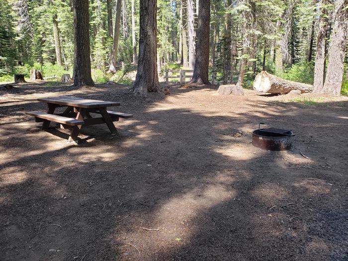 Spacious well-shaded site featuring a picnic table, fire ring, and bear box.Whitehorse Site 14