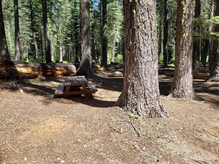 Spacious but hidden site featuring a picnic table and fire ring.Whitehorse Site 17