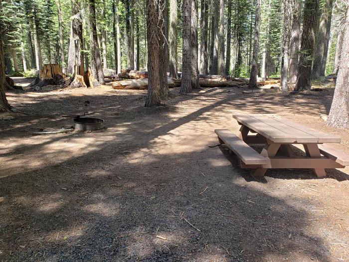 Spacious site featuring a picnic table and fire ring.Whitehorse Site 18