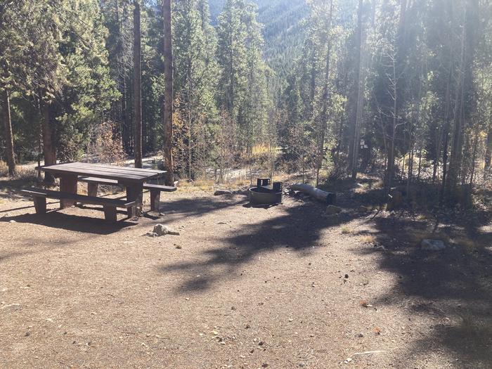 Campsite in the forest with picnic table and fire pit.A photo of Site 036 with picnic table and fire pit.