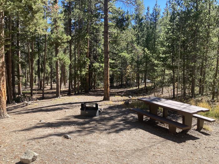 Campsite in the forest with picnic table and metal fire pit.A photo of Site 037 with picnic table and fire pit.