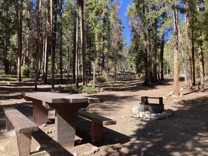 Campsite in the forest with picnic table and metal fire pit.A photo of Site 040 with picnic table and fire pit.