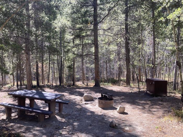 Shaded campsite with picnic table and fire pit.A photo of Site 010 with picnic table, fire pit and food storage locker.
