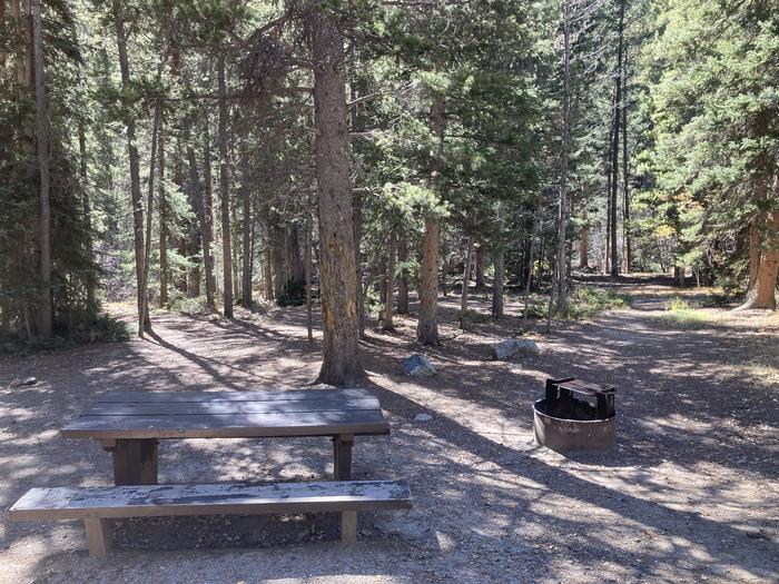 Shaded campsite with picnic table and fire pitA photo of Site 016 with picnic table and fire pit.