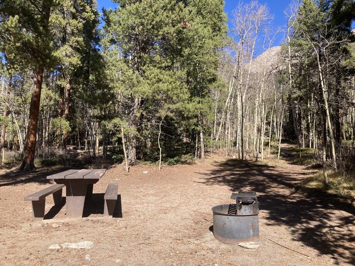 Campsite with trees and blue sky in backgroundA photo of Site 017 with picnic table and fire pit.