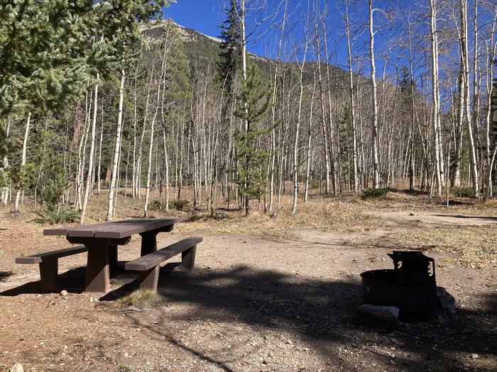 Campsite with table and metal fire pit  in the forest with mountains in backgroundA photo of Site 028 with picnic table and fire pit.