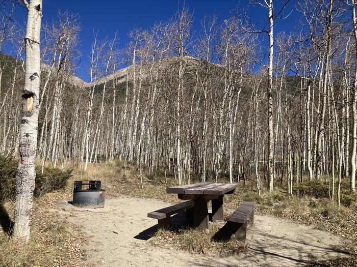 Campsite with table and fire pit surrounded by aspen trees.A photo of Site 034 with with picnic table and fire pit.