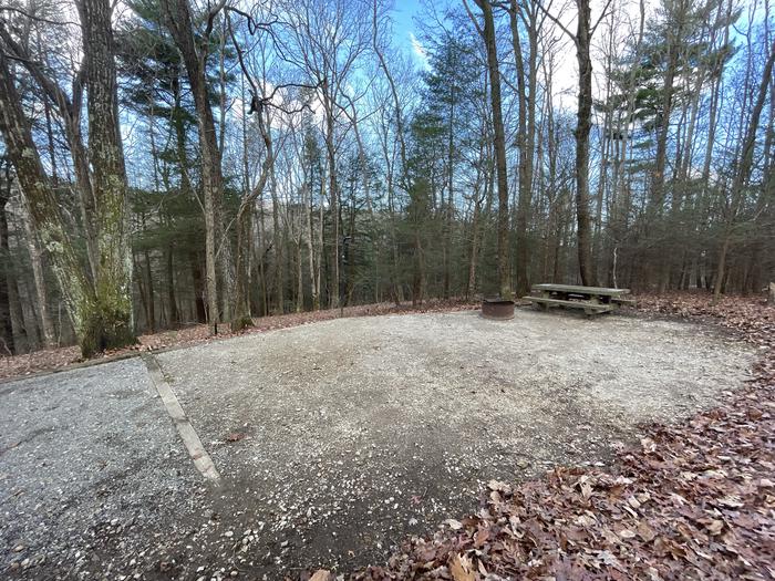 A photo of Site 10 of Loop Upper at Lake Conasauga Campground with Picnic Table, Fire Pit, Shade, Tent Pad, Lantern Pole showing site.A photo of Site 10 of Loop Upper at Lake Conasauga Campground with Picnic Table, Fire Pit, Shade, Tent Pad, Lantern Pole