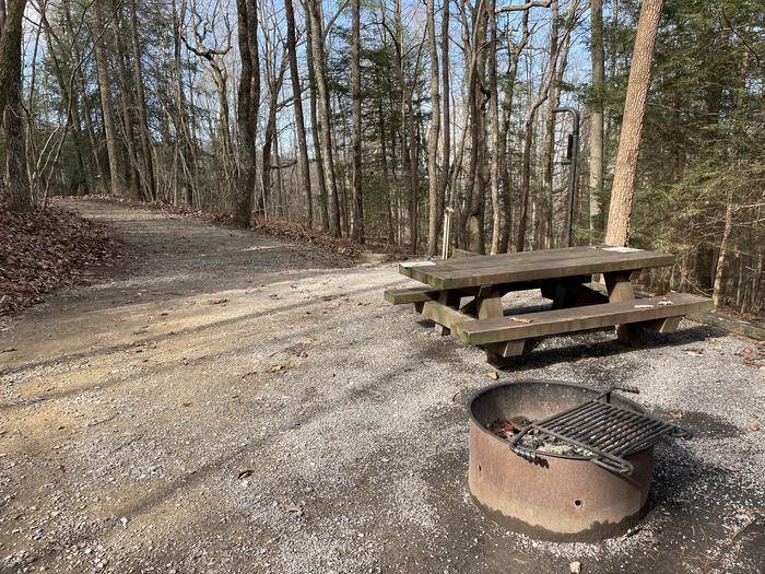 A photo of Site 6 of Loop Upper at Lake Conasauga Campground with Picnic Table, Fire Pit, Shade, Tent Pad, Lantern Pole, Water Hookup from within site.A photo of Site 6 of Loop Upper at Lake Conasauga Campground with Picnic Table, Fire Pit, Shade, Tent Pad, Lantern Pole, Water Hookup