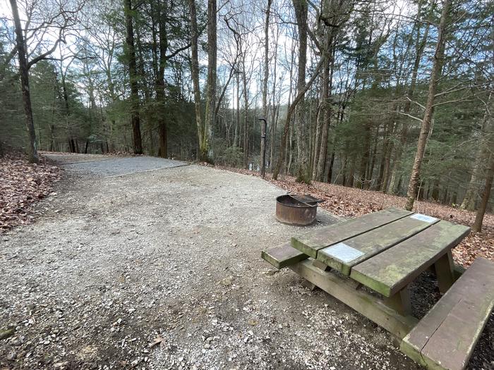A photo of Site 10 of Loop Upper at Lake Conasauga Campground with Picnic Table, Fire Pit, Shade, Tent Pad, Lantern Pole of from within.A photo of Site 10 of Loop Upper at Lake Conasauga Campground with Picnic Table, Fire Pit, Shade, Tent Pad, Lantern Pole