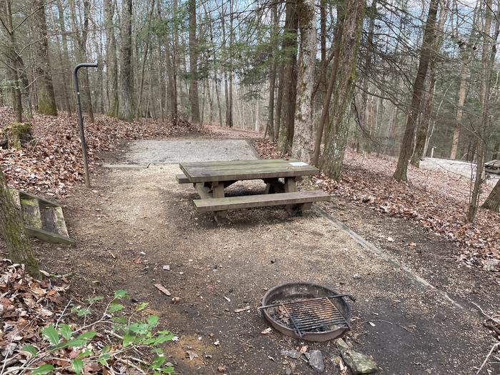 A photo of Site 7 of Loop Upper at Lake Conasauga Campground with Picnic Table, Fire Pit, Shade, Tent Pad, Lantern Pole from within.A photo of Site 7 of Loop Upper at Lake Conasauga Campground with Picnic Table, Fire Pit, Shade, Tent Pad, Lantern Pole