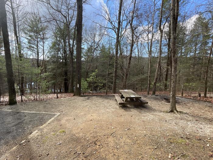 A photo of Site 12 of Loop Upper at Lake Conasauga Campground with Picnic Table, Fire Pit, Shade, Tent Pad, Lantern Pole from beside.A photo of Site 12 of Loop Upper at Lake Conasauga Campground with Picnic Table, Fire Pit, Shade, Tent Pad, Lantern Pole