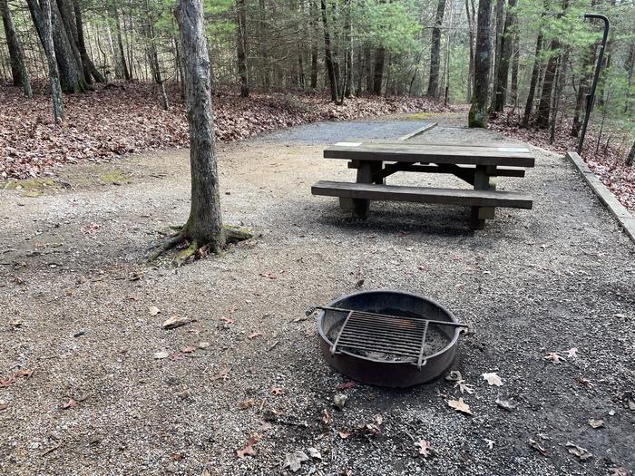 A photo of Site 12 of Loop Upper at Lake Conasauga Campground with Picnic Table, Fire Pit, Shade, Tent Pad, Lantern Pole from within.A photo of Site 12 of Loop Upper at Lake Conasauga Campground with Picnic Table, Fire Pit, Shade, Tent Pad, Lantern Pole