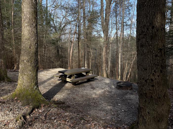 A photo of Site 3 of Loop Upper at Lake Conasauga Campground above.A photo of Site 3 of Loop Upper at Lake Conasauga Campground with Picnic Table, Fire Pit, Shade, Tent Pad, Lantern Pole