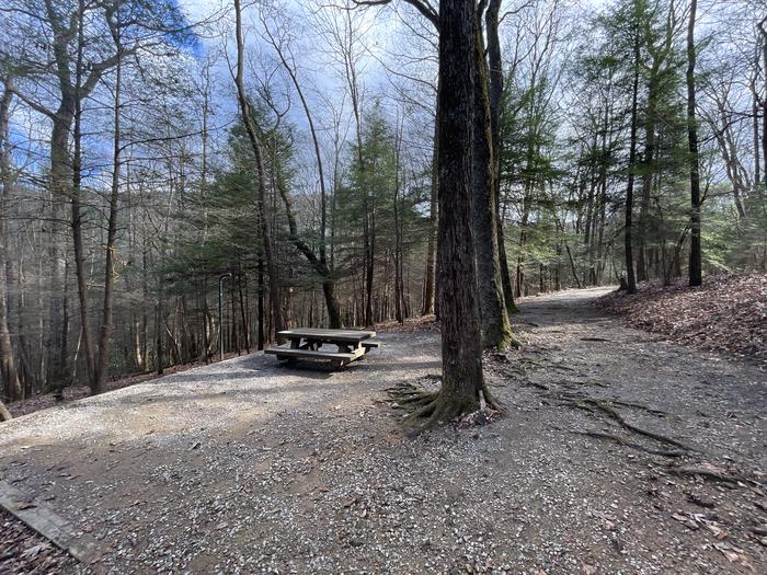 A photo of Site 3 of Loop Upper at Lake Conasauga Campground in site.A photo of Site 3 of Loop Upper at Lake Conasauga Campground with Picnic Table, Fire Pit, Shade, Tent Pad, Lantern Pole
