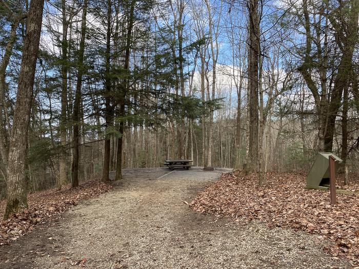 A photo of Site 8 of Loop Upper at Lake Conasauga Campground with Picnic Table, Fire Pit, Shade, Tent Pad, Lantern Pole from entrance.A photo of Site 8 of Loop Upper at Lake Conasauga Campground with Picnic Table, Fire Pit, Shade, Tent Pad, Lantern Pole