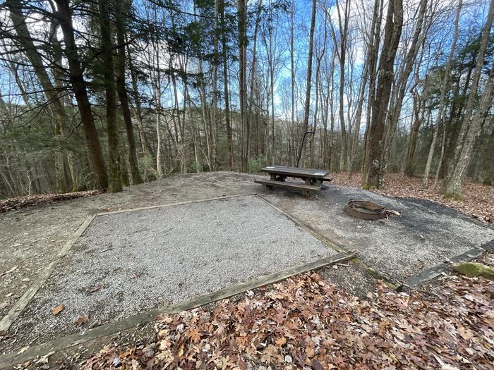 A photo of Site 8 of Loop Upper at Lake Conasauga Campground with Picnic Table, Fire Pit, Shade, Tent Pad, Lantern Pole from within.A photo of Site 8 of Loop Upper at Lake Conasauga Campground with Picnic Table, Fire Pit, Shade, Tent Pad, Lantern Pole