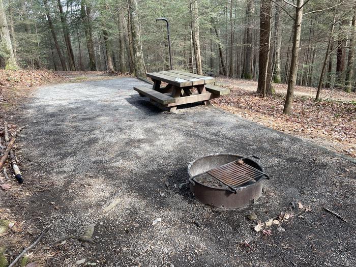 A photo of Site 1 of Loop Upper at Lake Conasauga Campground in site.A photo of Site 1 of Loop Upper at Lake Conasauga Campground with Picnic Table, Fire Pit, Shade, Tent Pad, Lantern Pole