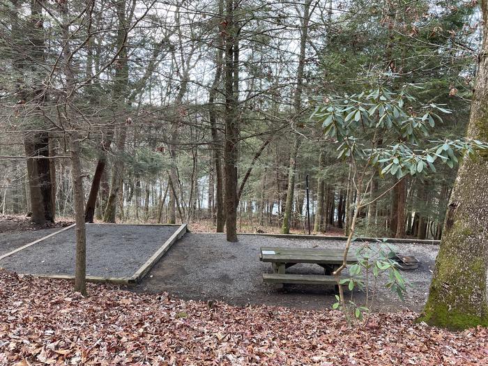 A photo of Site 11 of Loop Upper at Lake Conasauga Campground with Picnic Table, Fire Pit, Shade, Tent Pad, Lantern Pole from above.A photo of Site 11 of Loop Upper at Lake Conasauga Campground with Picnic Table, Fire Pit, Shade, Tent Pad, Lantern Pole