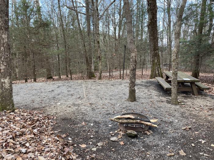 A photo of Site 9 of Loop Upper at Lake Conasauga Campground with Picnic Table, Fire Pit, Shade, Tent Pad, Lantern Pole from beside site.A photo of Site 9 of Loop Upper at Lake Conasauga Campground with Picnic Table, Fire Pit, Shade, Tent Pad, Lantern Pole