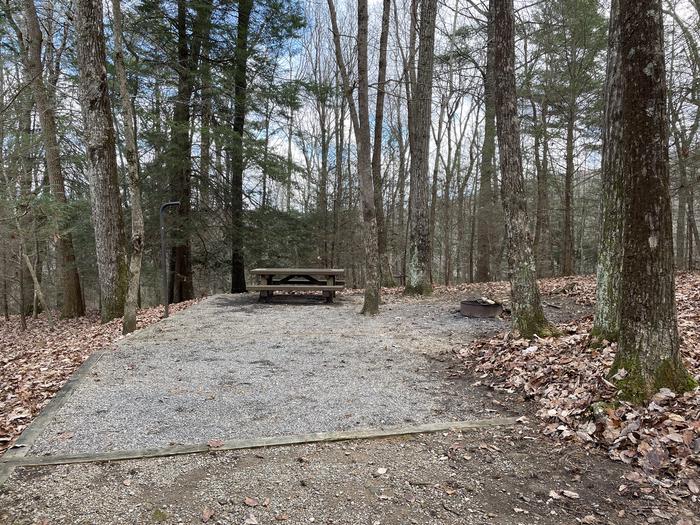 A photo of Site 9 of Loop Upper at Lake Conasauga Campground with Picnic Table, Fire Pit, Shade, Tent Pad, Lantern Pole from inside site.A photo of Site 9 of Loop Upper at Lake Conasauga Campground with Picnic Table, Fire Pit, Shade, Tent Pad, Lantern Pole