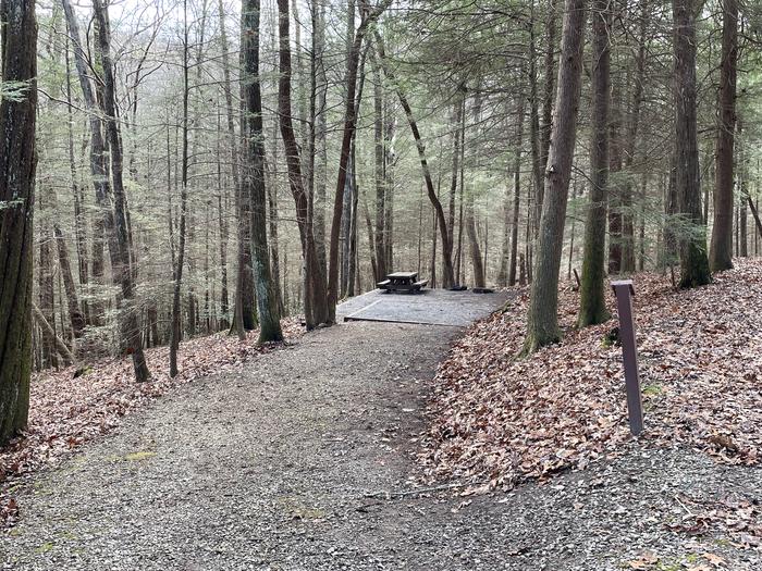 A photo of Site 2 of Loop Upper at Lake Conasauga Campground with Picnic Table, Fire Pit, Shade, Tent Pad, Lantern Pole from entrance.A photo of Site 2 of Loop Upper at Lake Conasauga Campground with Picnic Table, Fire Pit, Shade, Tent Pad, Lantern Pole
