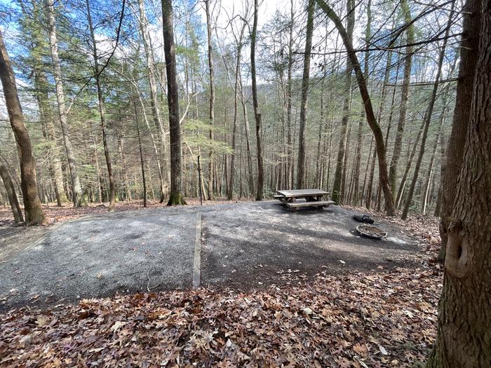 A photo of Site 2 of Loop Upper at Lake Conasauga Campground with Picnic Table, Fire Pit, Shade, Tent Pad, Lantern Pole above site.A photo of Site 2 of Loop Upper at Lake Conasauga Campground with Picnic Table, Fire Pit, Shade, Tent Pad, Lantern Pole
