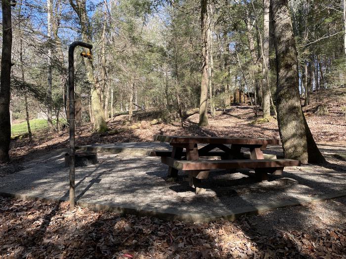 A photo of Site 27 of Loop Lower at Lake Conasauga Campground with Picnic Table, Fire Pit, Shade, Tent Pad, Lantern Pole within.A photo of Site 27 of Loop Lower at Lake Conasauga Campground with Picnic Table, Fire Pit, Shade, Tent Pad, Lantern Pole