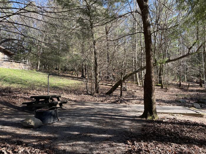 A photo of Site 17 of Loop Lower at Lake Conasauga Campground with Picnic Table, Fire Pit, Shade, Tent Pad, Lantern Pole from the side.A photo of Site 17 of Loop Lower at Lake Conasauga Campground with Picnic Table, Fire Pit, Shade, Tent Pad, Lantern Pole
