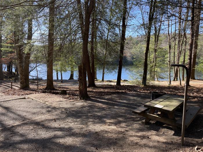 A photo of Site 17 of Loop Lower at Lake Conasauga Campground with Picnic Table, Fire Pit, Shade, Tent Pad, Lantern Pole from within.A photo of Site 17 of Loop Lower at Lake Conasauga Campground with Picnic Table, Fire Pit, Shade, Tent Pad, Lantern Pole