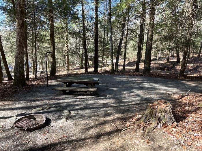 A photo of Site 30 of Loop Lower at Lake Conasauga Campground with Picnic Table, Fire Pit, Shade, Tent Pad, Lantern Pole beside.A photo of Site 30 of Loop Lower at Lake Conasauga Campground with Picnic Table, Fire Pit, Shade, Tent Pad, Lantern Pole