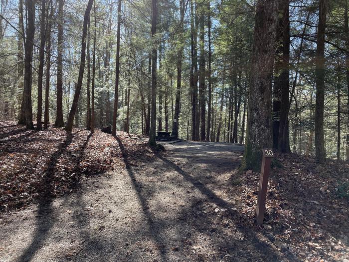 A photo of Site 30 of Loop Lower at Lake Conasauga Campground with Picnic Table, Fire Pit, Shade, Tent Pad, Lantern Pole entrance.A photo of Site 30 of Loop Lower at Lake Conasauga Campground with Picnic Table, Fire Pit, Shade, Tent Pad, Lantern Pole