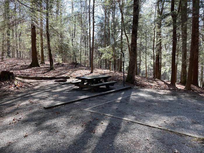 A photo of Site 30 of Loop Lower at Lake Conasauga Campground with Picnic Table, Fire Pit, Shade, Tent Pad, Lantern Pole above.A photo of Site 30 of Loop Lower at Lake Conasauga Campground with Picnic Table, Fire Pit, Shade, Tent Pad, Lantern Pole