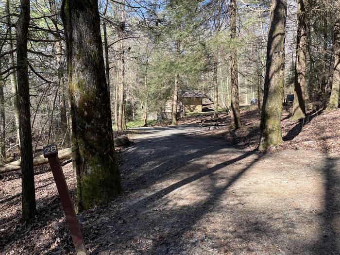 A photo of Site 28 of Loop Lower at Lake Conasauga Campground with Picnic Table, Fire Pit, Shade, Tent Pad, Lantern Pole, Water Hookup