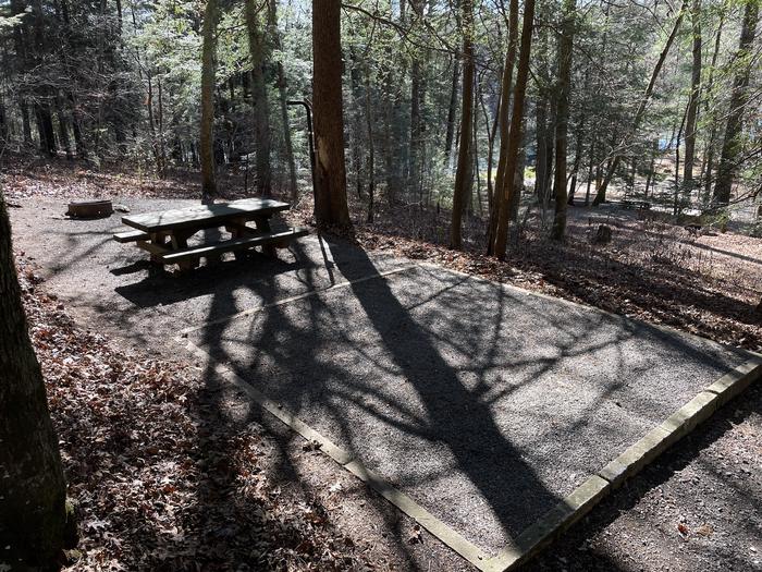 A photo of Site 29 of Loop Lower at Lake Conasauga Campground with Picnic Table, Fire Pit, Shade, Tent Pad, Lantern Pole above.A photo of Site 29 of Loop Lower at Lake Conasauga Campground with Picnic Table, Fire Pit, Shade, Tent Pad, Lantern Pole