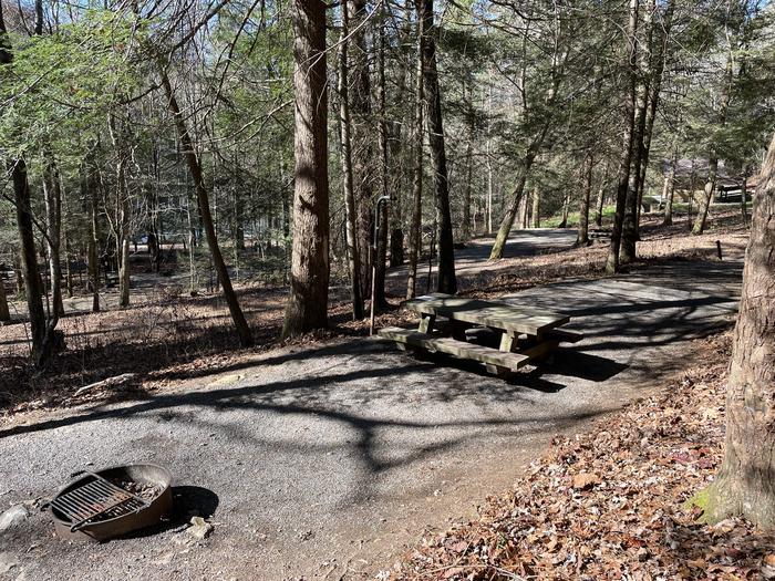 A photo of Site 29 of Loop Lower at Lake Conasauga Campground with Picnic Table, Fire Pit, Shade, Tent Pad, Lantern Pole within.A photo of Site 29 of Loop Lower at Lake Conasauga Campground with Picnic Table, Fire Pit, Shade, Tent Pad, Lantern Pole